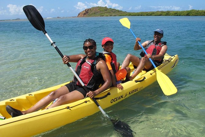 Best of Mangrove Lagoon Kayak, Hike and Snorkel Adventure with Picnic Lunch - Key things I’d circle before you book