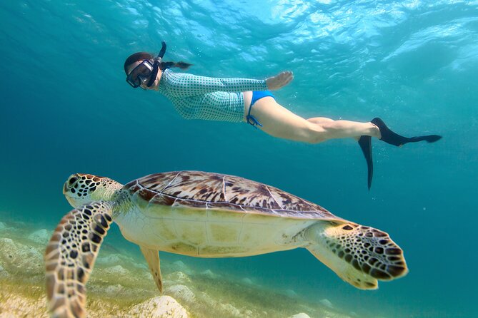 Cas Cay - Kayak Hike and Snorkel Adventure - Kayaking through red mangroves: the core of the experience