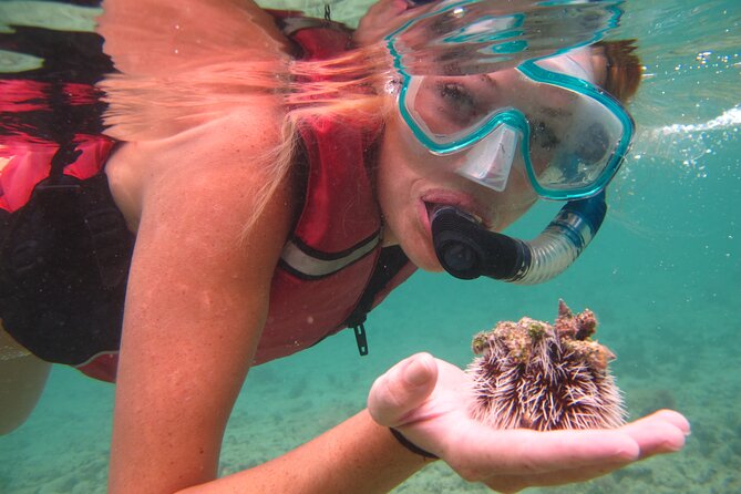 Cas Cay - Kayak Hike and Snorkel Adventure - Snorkeling in the mangrove nursery: stingrays, coral edges, and expectations