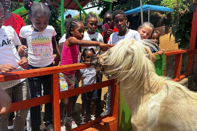 Connors Farms Petting Zoo - Getting Your Bearings: Where This Tour Starts and How Long It Takes