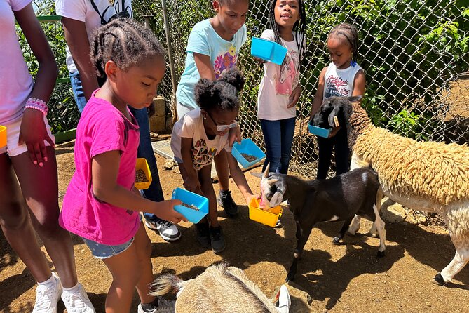 Connors Farms Petting Zoo - Who This Tour Fits Best on St Thomas