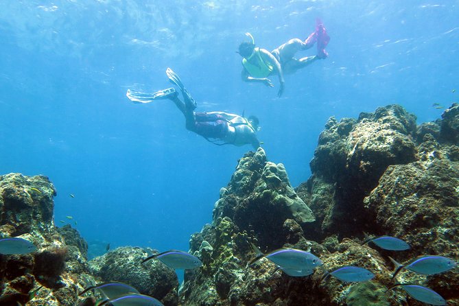 Coral Reef and Turtle Kayak Excursion - A 5-hour St Thomas kayak-and-snorkel day that feels like a small adventure