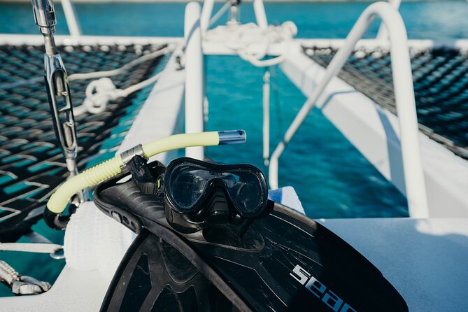 Discover the Best of St. John - Snorkel, Beach & Shopping! - Virgin Islands National Park snorkeling: included gear and the part you’ll remember