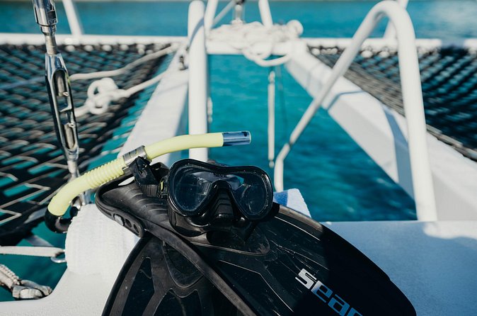 Discover the Best of St. John - Snorkel, Beach & Shopping! - Who this tour suits best (and who should think twice)