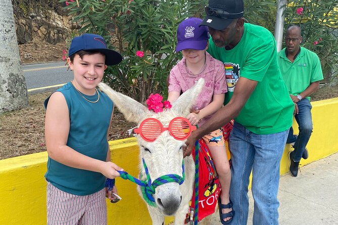 Full Day Cultural Jeep Beach Tour, St. Thomas & Water Island - Price and What $630 per Group Really Buys