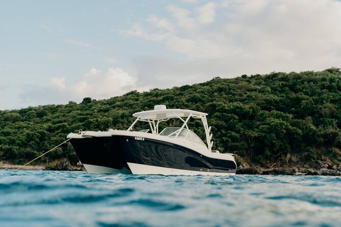 Full-Day Private Boat Charter from St. John or St. Thomas - A Private Catamaran Day on St. John and St. Thomas (9:00 am start)