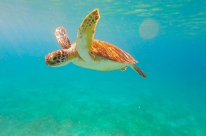 Full-Day Sailing Tour in Virgin Islands National Park - Who Should Book This Tour (and Who Might Want Something Else)