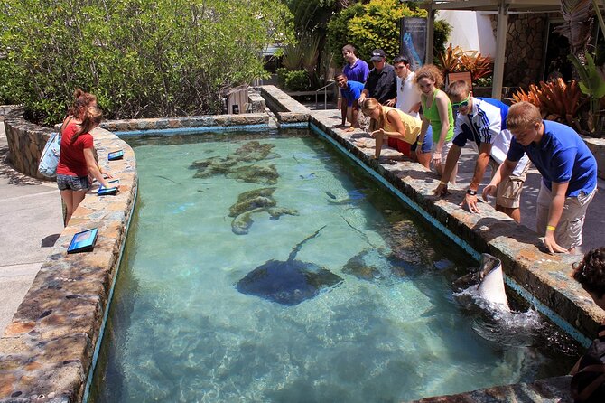 Guided Tour of Coral World Ocean Park & Happy Hour - Where to meet: Coral World address and what that means for your day