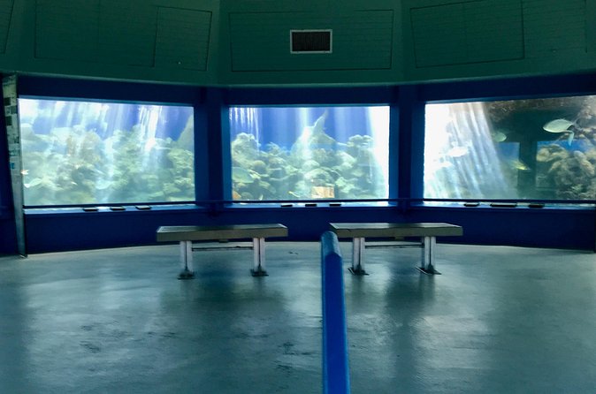 Guided Tour of Coral World Ocean Park & Happy Hour - Free time after the tour: explore indoor and outdoor exhibits at your pace