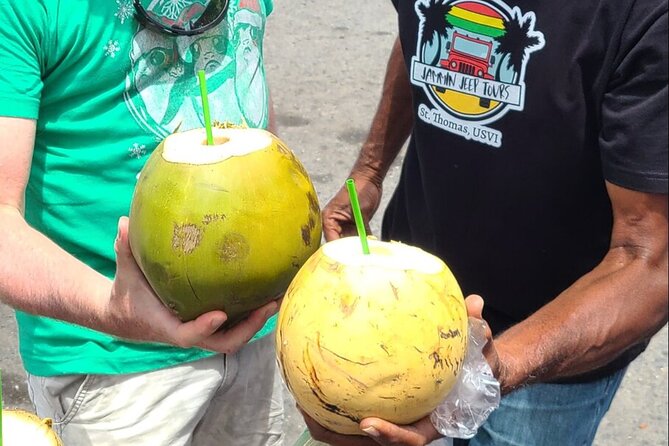 Half Day Cultural Jeep Beach Adventure - 4 Hr Tour St. Thomas - How to Make This Tour Smarter: Timing, Questions, and What to Bring