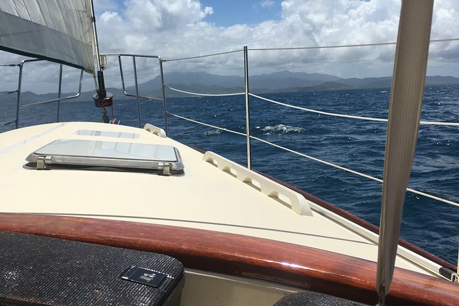 Half Day Sail and Snorkel with the Turtles - Key points