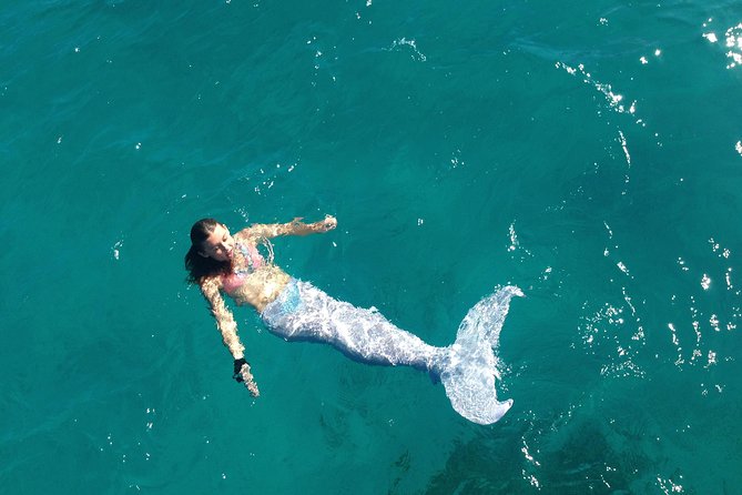 Half Day Sail and Snorkel with the Turtles - The sailboat experience on a smaller boat: what it feels like