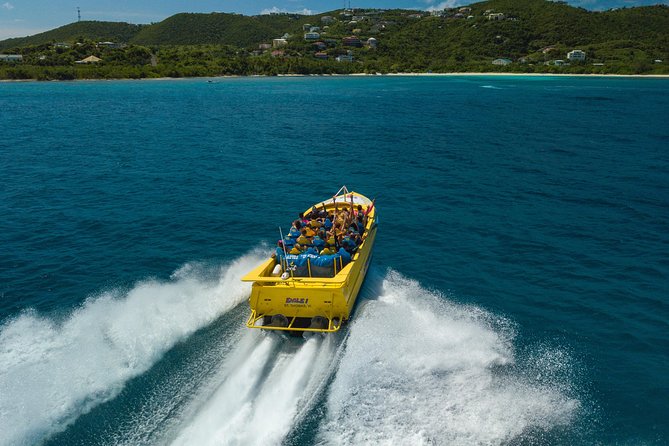 High Speed Harbor Tour from Charlotte Amalie Cruise Port - Meeting at R Bar in Yacht Haven Grande: Why Location Matters on Port Days