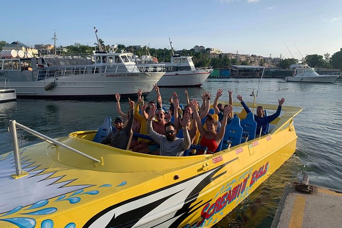 High Speed Harbor Tour from Charlotte Amalie Cruise Port - Who Should Book (and Who Might Prefer Something Calmer)