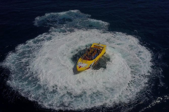 High Speed Harbor Tour from Charlotte Amalie Cruise Port - Should You Book This High-Speed Harbor Tour from Charlotte Amalie?