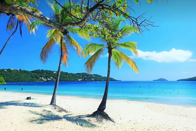 Island Buggy Excursions - Stop 2: Brewer’s Bay for sea turtles and easy beach wandering
