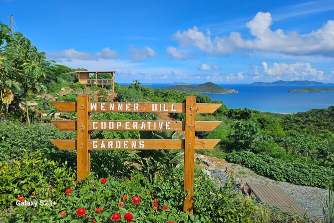 Island Eco Farm Tour with Local Treats and Sapphire Beach Time - Quick price and timing: what you’re really buying