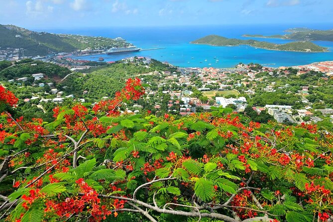 Island Life Jeep Tours - Your Day Your Way Private Excursion! - Pickup timing and the meeting point you should plan around