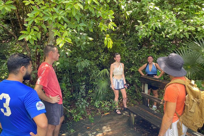Magens Bay Trail Hiking Tour - Why Hiking Down to Magens Bay Feels Like the Real St Thomas