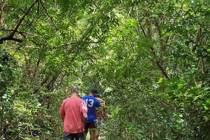 Magens Bay Trail Hiking Tour - Trailhead to Views: Your 2-Hour Descent With a Real Plan
