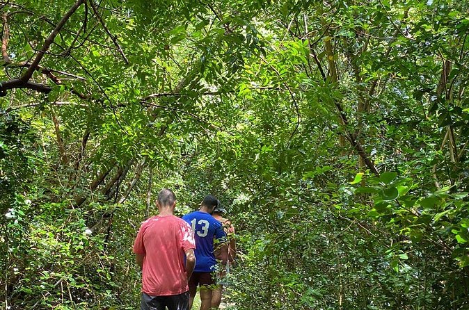 Magens Bay Trail Hiking Tour - Fitness Fit: Who This Hike Works For (and Who Should Skip It)