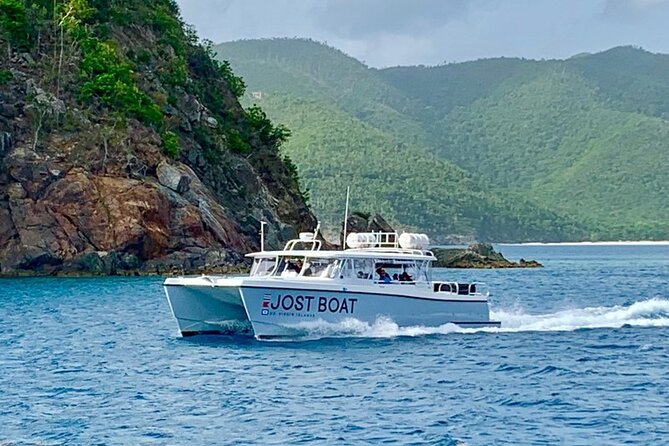 Maho Bay Turtle Snorkel with Lunch and Bar at Frenchman's Reef - Who This Snorkel Trip Is Best For