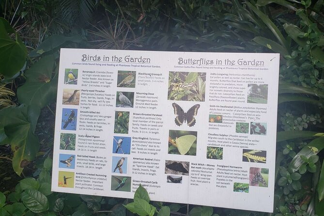 Nature and Sightseeing at Phantasea Tropical Botanical Garden - Inside the garden: orchids, bromeliads, and why it feels different