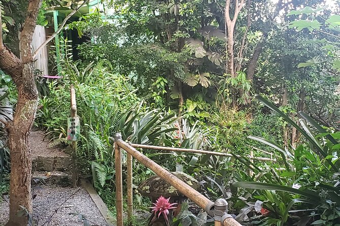Nature and Sightseeing at Phantasea Tropical Botanical Garden - Price and value: does $15.80 make sense?