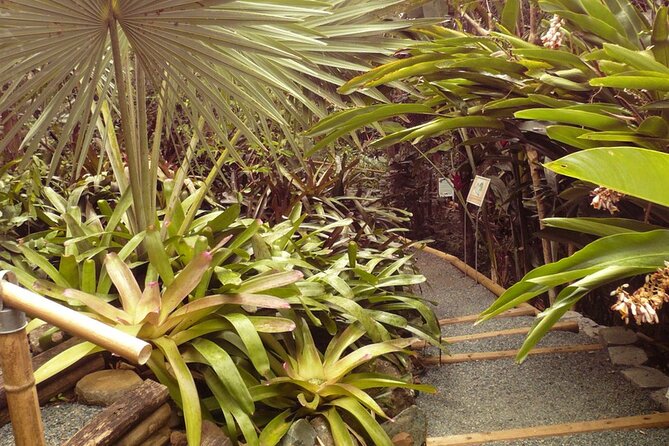 Nature and Sightseeing at Phantasea Tropical Botanical Garden - Who this tour suits best (and who should skip it)