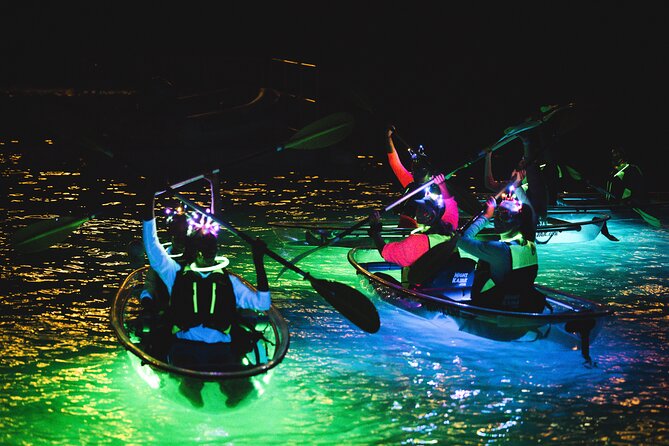 Night Kayak Tour St. Thomas - Westin Frenchman's Reef - Night Kayak Glow Tour in St. Thomas: The “See the Sea Below You” Magic