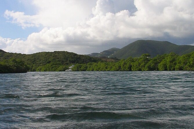 On Your Own: Kayak in the Mangrove Lagoon - Snorkeling setup: calm water is one thing, float comfort is another