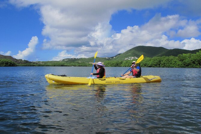 On Your Own: Kayak in the Mangrove Lagoon - What’s included, what’s not, and how the $69 value works