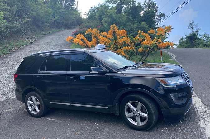 Private Ground Transfers - Where You Go Next: Hotels and Cruise Ports, Door-to-Door