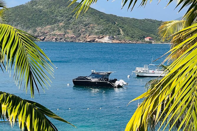 Private Luxury Catamaran Half Day Charter - Private Luxury Catamaran Half Day Charter: The value of going small