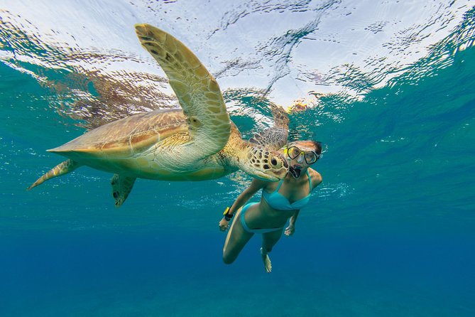 Private Luxury Charter Aboard New Multi-Deck Lagoon Catamaran - Snorkeling around St Thomas and the nearby cays