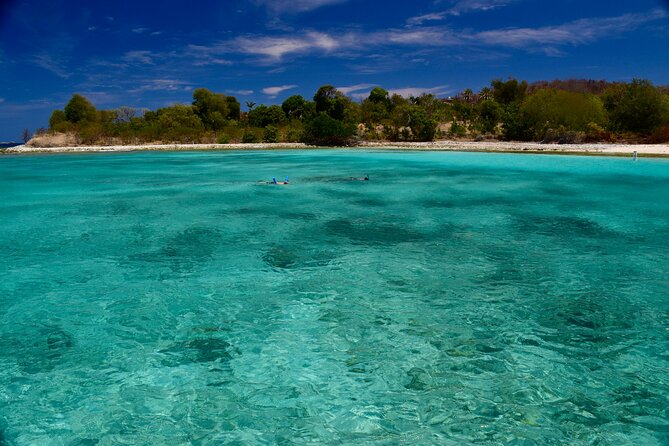 Private Power Catamaran. Secluded Beaches, Snorkeling, Turtles for Full/Half Day - Snorkeling on real reefs: gear is included, but your habits decide how good it feels