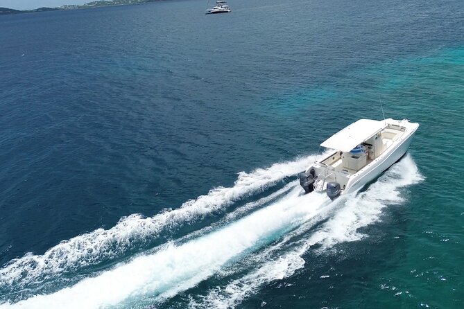 Private Power Catamaran. Secluded Beaches, Snorkeling, Turtles for Full/Half Day - Turtle swim in warm, clear water: the moment most people remember