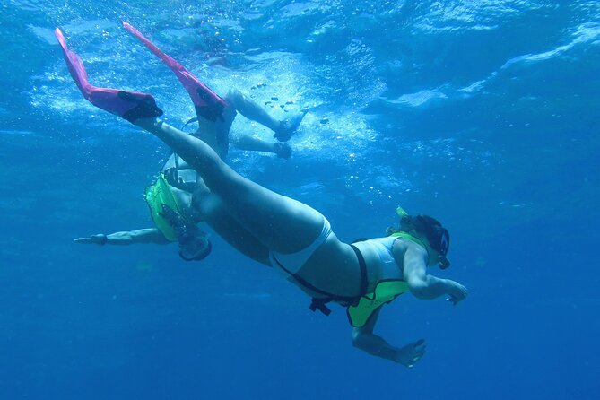 Reef and Turtle Adventure - Kayak and Snorkel Tour - Getting to Emerald Beach Resort and starting your 9:30am kayak day