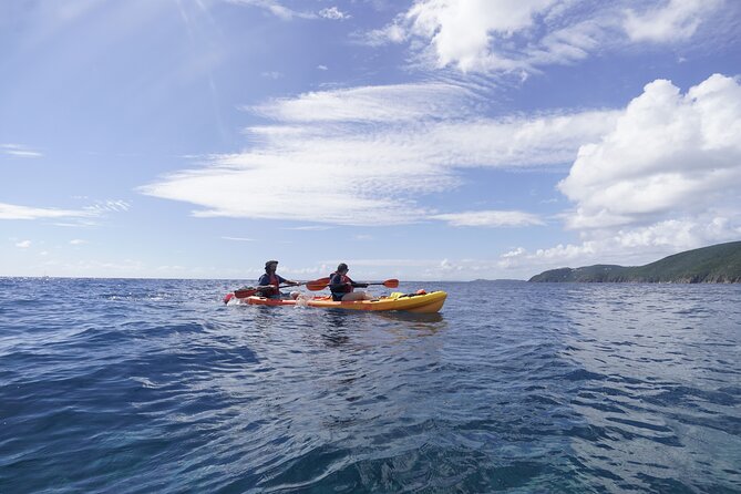 Reef and Turtle Adventure - Kayak and Snorkel Tour - Reef snorkel: how the coral stop is paced and why it’s worth the effort