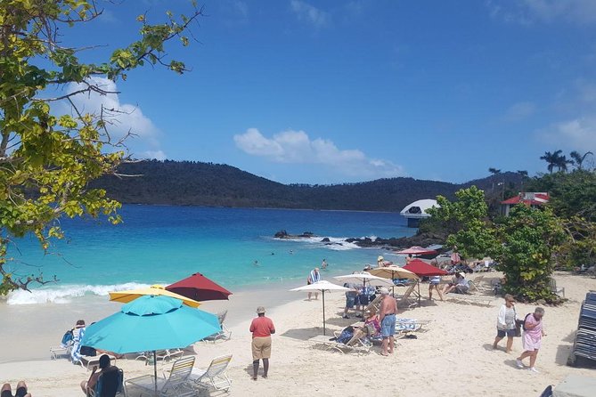Round-Trip Transportation to Coral World Park and Coki Beach - Coral World Ocean Park: what you can add without committing fully