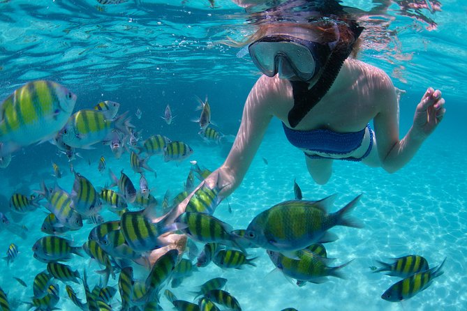 Sail/Snorkel Adventure from Sapphire Marina,STT NO CROWDS~ 6 GUEST MAX - Caneel Bay (or Christmas Cove/Lovango): what makes the snorkeling worth it