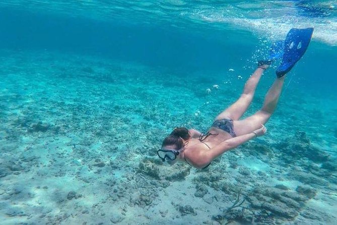 Sail/Snorkel Adventure from Sapphire Marina,STT NO CROWDS~ 6 GUEST MAX - Price vs. value: $159 and what makes it feel fair