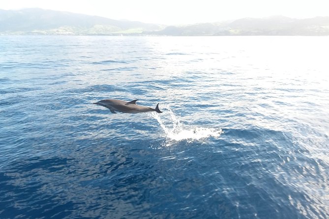 Sail/Snorkel Adventure from Sapphire Marina,STT NO CROWDS~ 6 GUEST MAX - Quick practical tips before you go