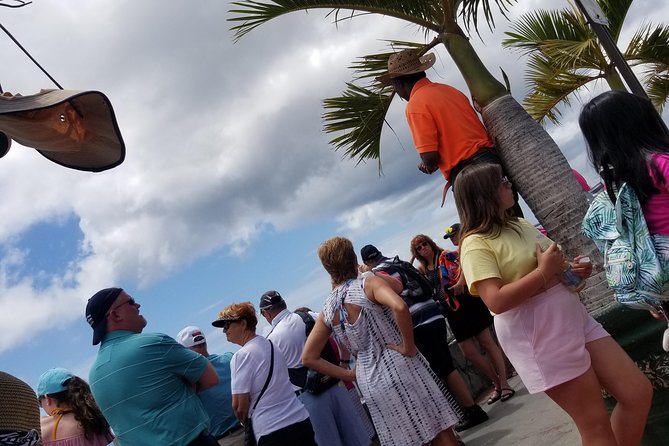 Shopping And Sightseeing Excursion - Mountain Top: Observation Views, Banana Daiquiris, and Souvenir Time