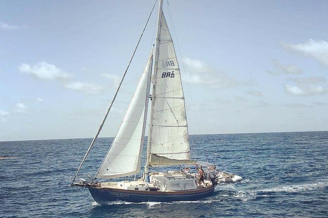 Simply Sailing Private Sail from Sapphire Marina - Key things to know before you go