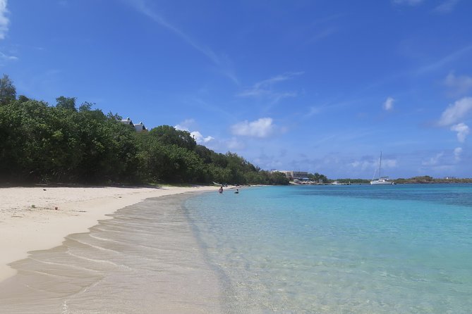Small Group Sea Turtle Tour (Guaranteed to see turtles) - What You’ll See: Sea Turtles Plus Real Reef Life