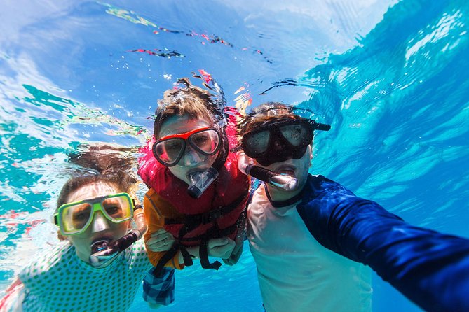 Snorkel & Swim with Turtles. Semi Private Tour to Buck Island & Honeymoon Beach - Boat choice, comfort, and why smaller can feel better
