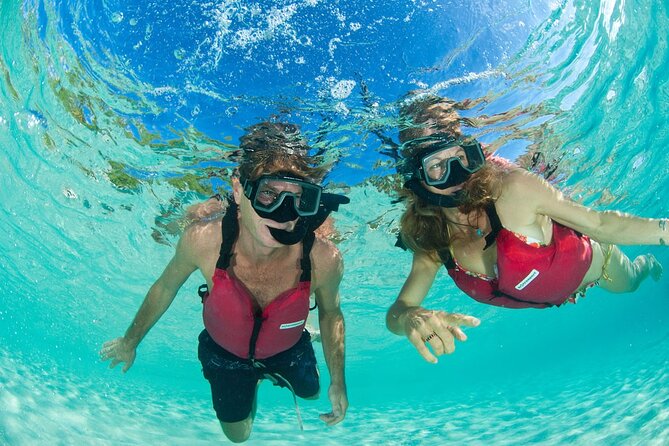 Snorkeling with Sea Turtles at St. Thomas - Price and value: is $79 worth it?