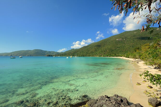 Snorkeling with Sea Turtles at St. Thomas - Who this snorkeling with sea turtles tour suits best