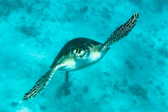 St. John Luxury Catamaran Turtle Snorkel and Cays Full Day - Onboard Comfort That Reduces Stress